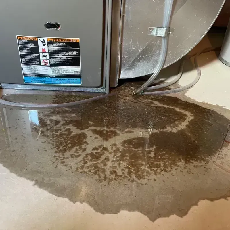 Appliance Leak Cleanup in Tsaile, AZ